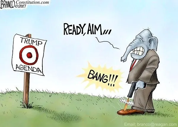 heath car sot in foot.webp