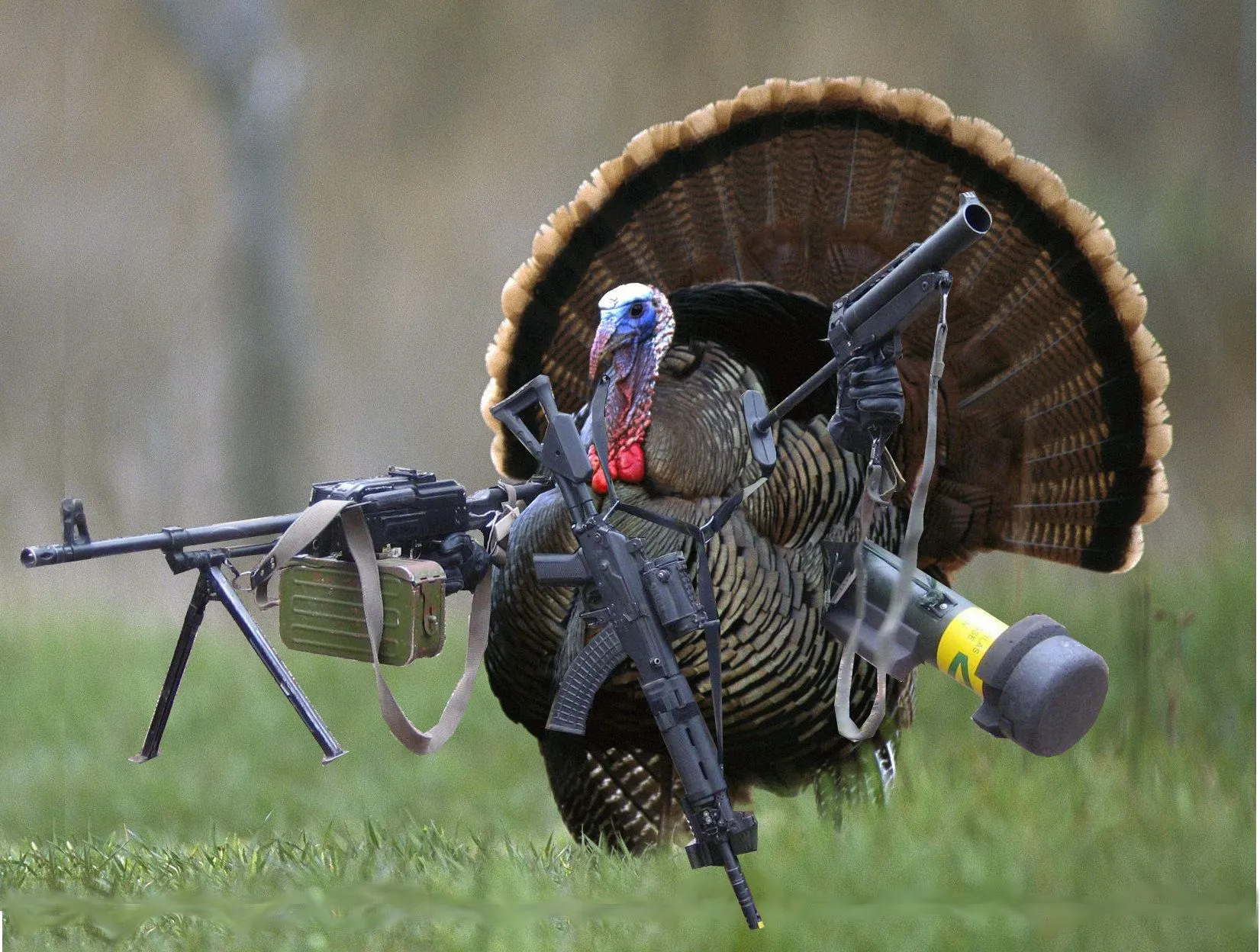 Herbert_H_Turkey_Guns.webp