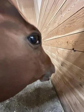 HHPbWLVWAAAeltU.webp