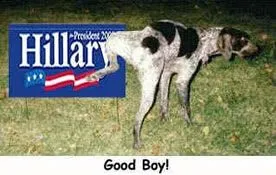 Hillary-GoodBoy.webp