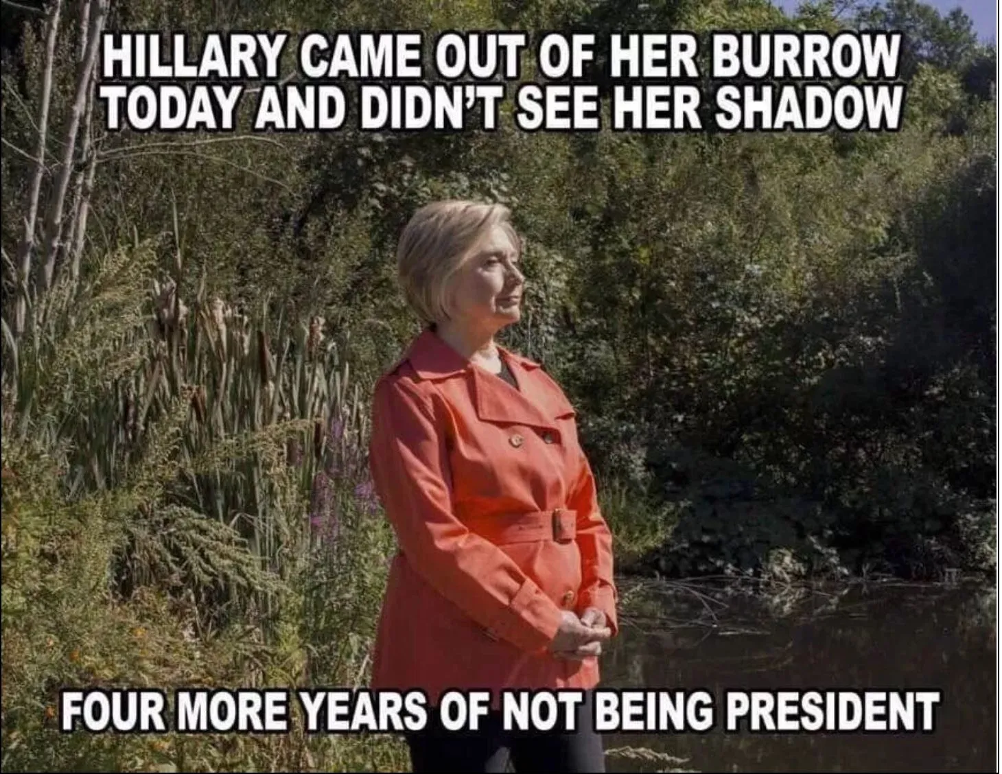 hillary shadow.webp