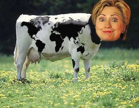 HillaryCow.webp