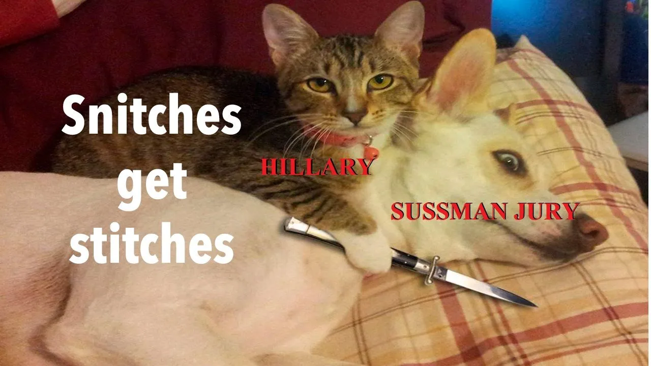 hillarysussmanjurylolhahahalolsjkdjhdfhk2.webp