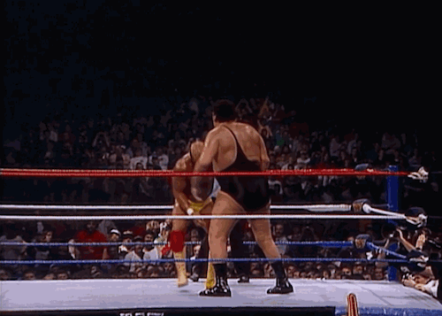 Hogan-looped-1922847653.gif