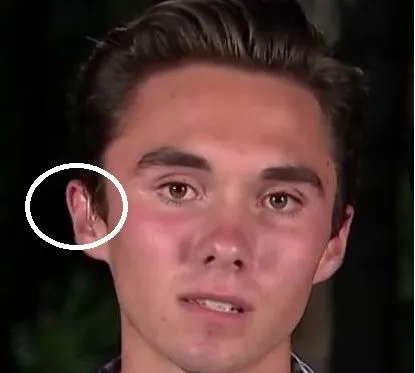 hogg.webp