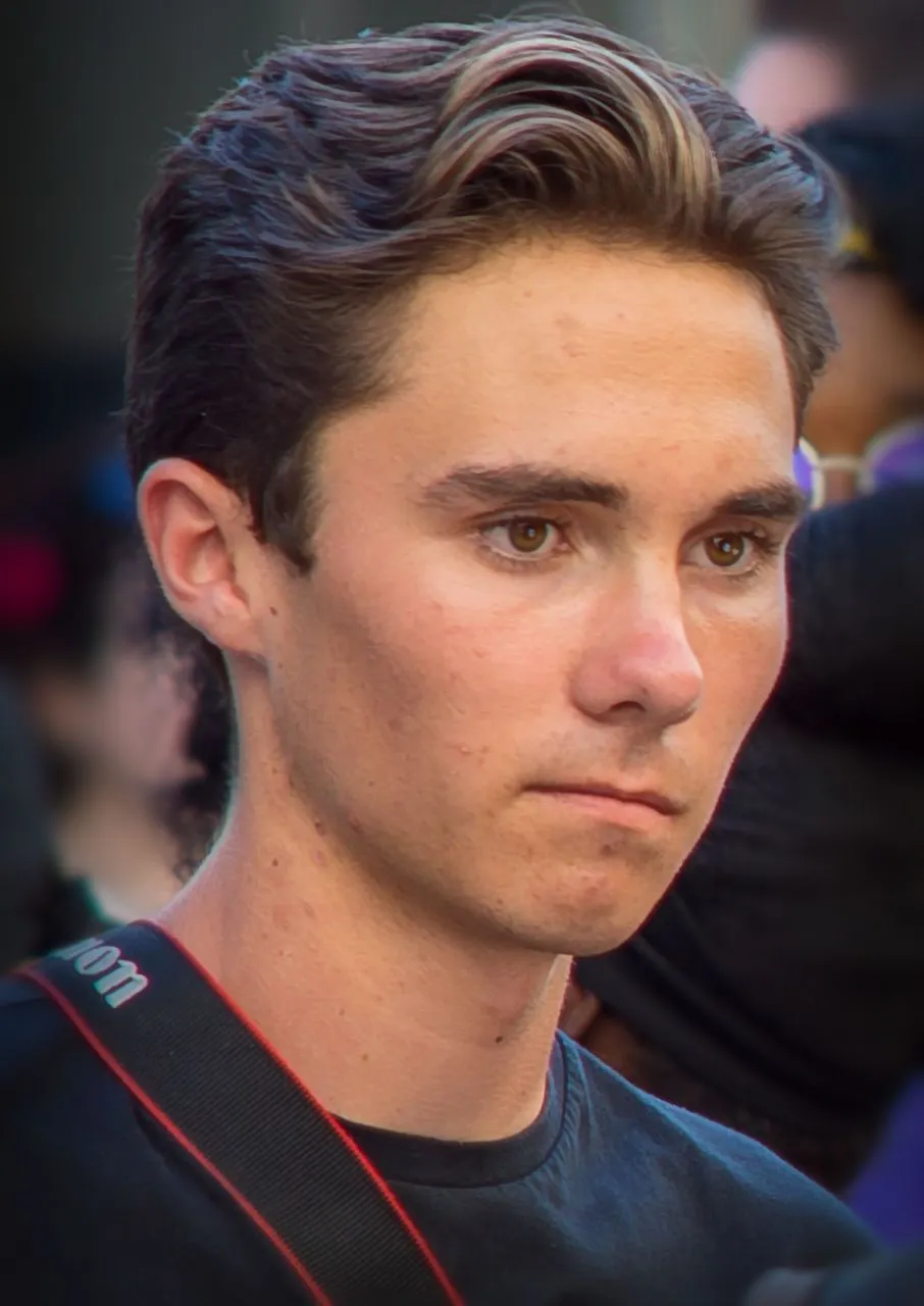 hogg1.webp