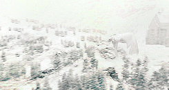 HogwartsSnow-1513383514.gif