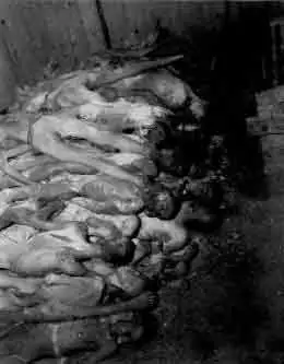 holocaust2.jpg