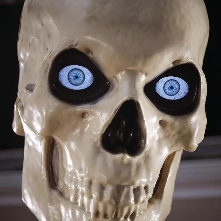 home-accents-holiday-halloween-yard-decor-skeleton-eyes.webp