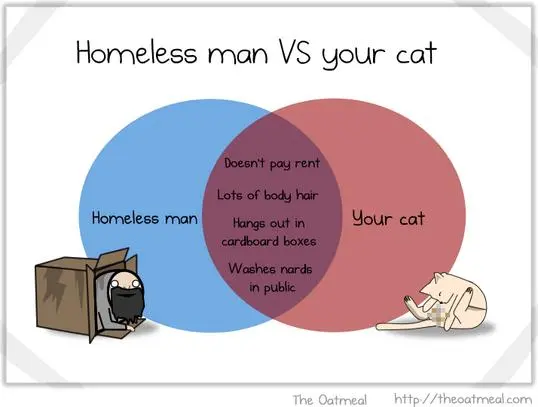 homeless_vs_cat.webp