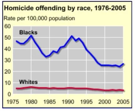Homicide rate by race.jpg