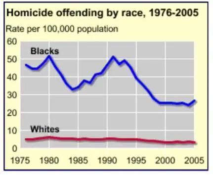 Homicide rate by race.webp