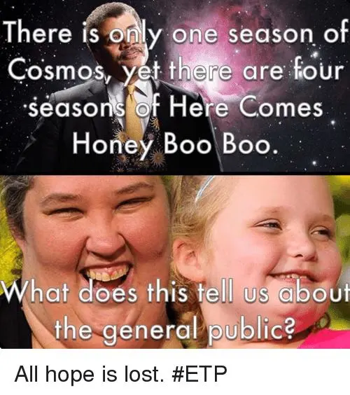 honeyboo.webp