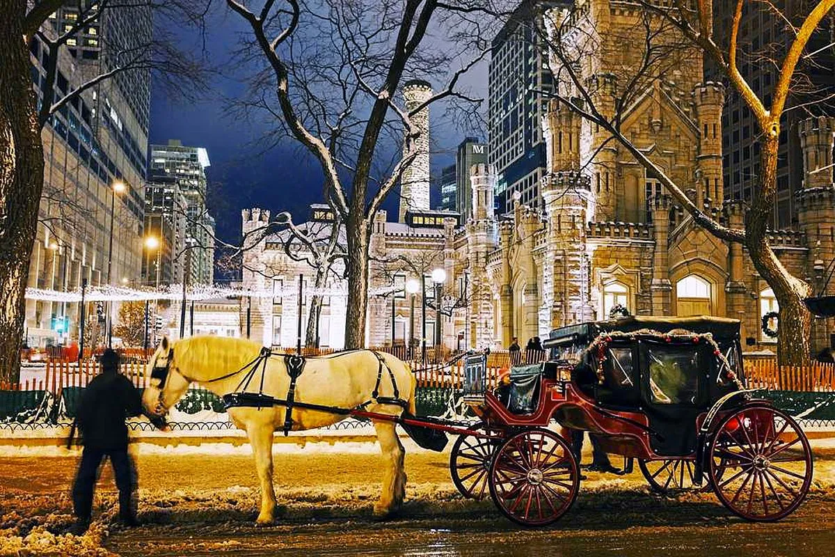 horse-carriage-and-water-tower-in-chicago-585361581-5afe16c23418c6003846d7d6.webp