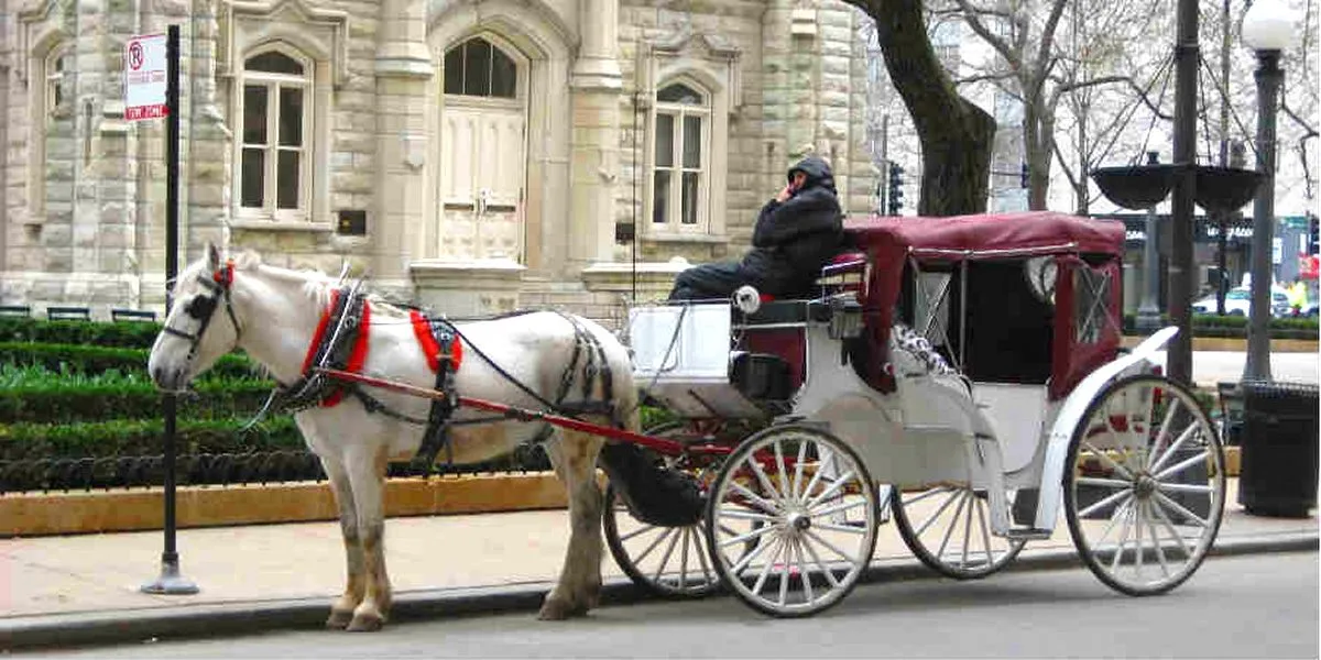 horse-carriage.webp