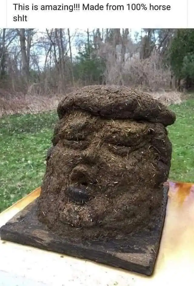 horse shit trump.webp