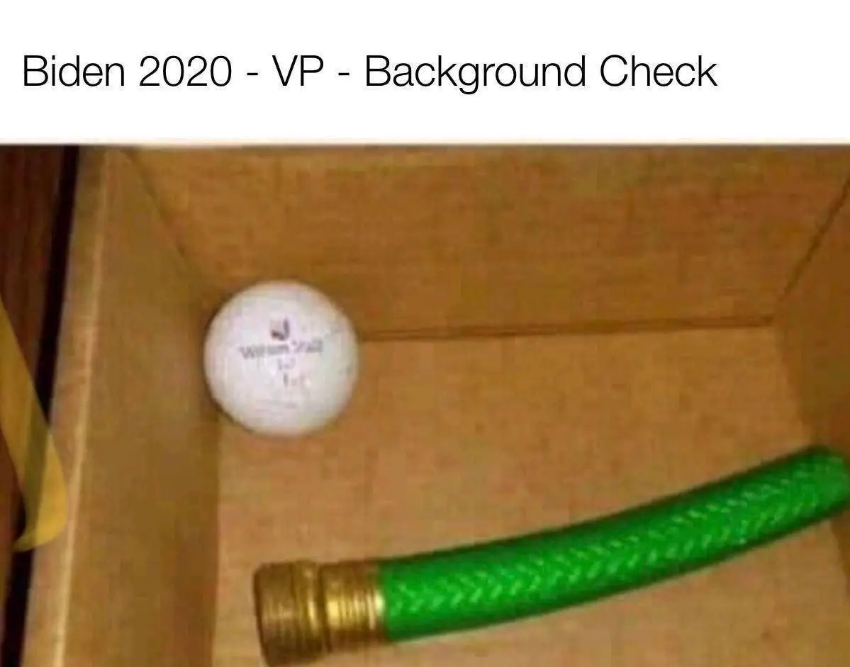 hose golf ball.webp