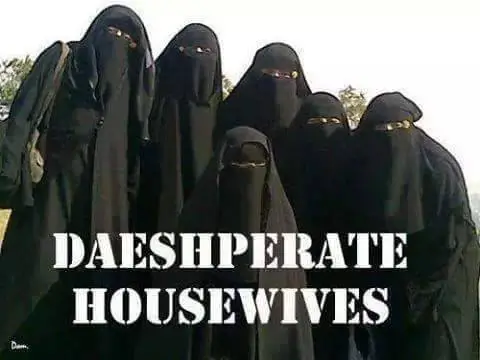 housewives.webp