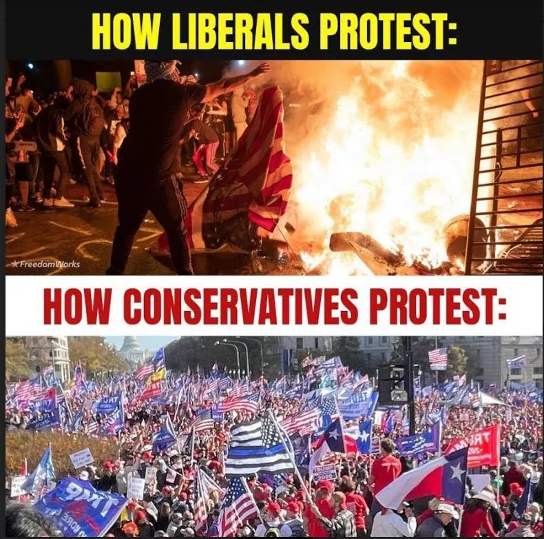 ````How liberals protest.webp