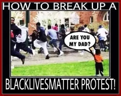 how-to-break-up-blacklivesmatter-protest.webp