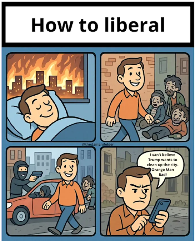 HOW TO LIBERAL.webp