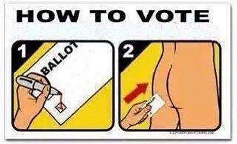 How2Vote.webp