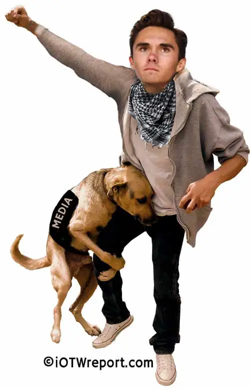 humpingmedia.webp