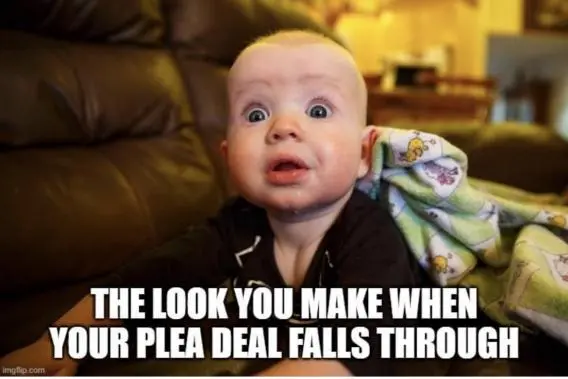 hunted plea deal.webp