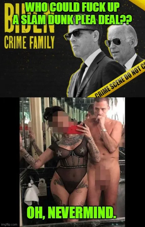 hunter plea deal fuckup.webp