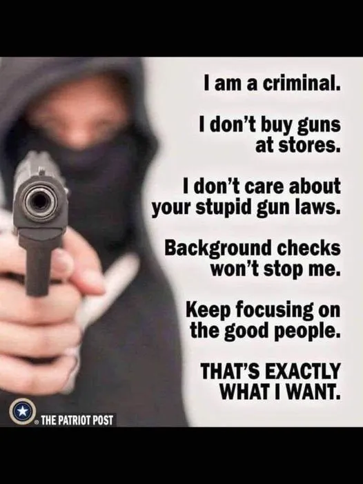 I-am-a-criminal-I-dont-buy-guns-at-stores.webp