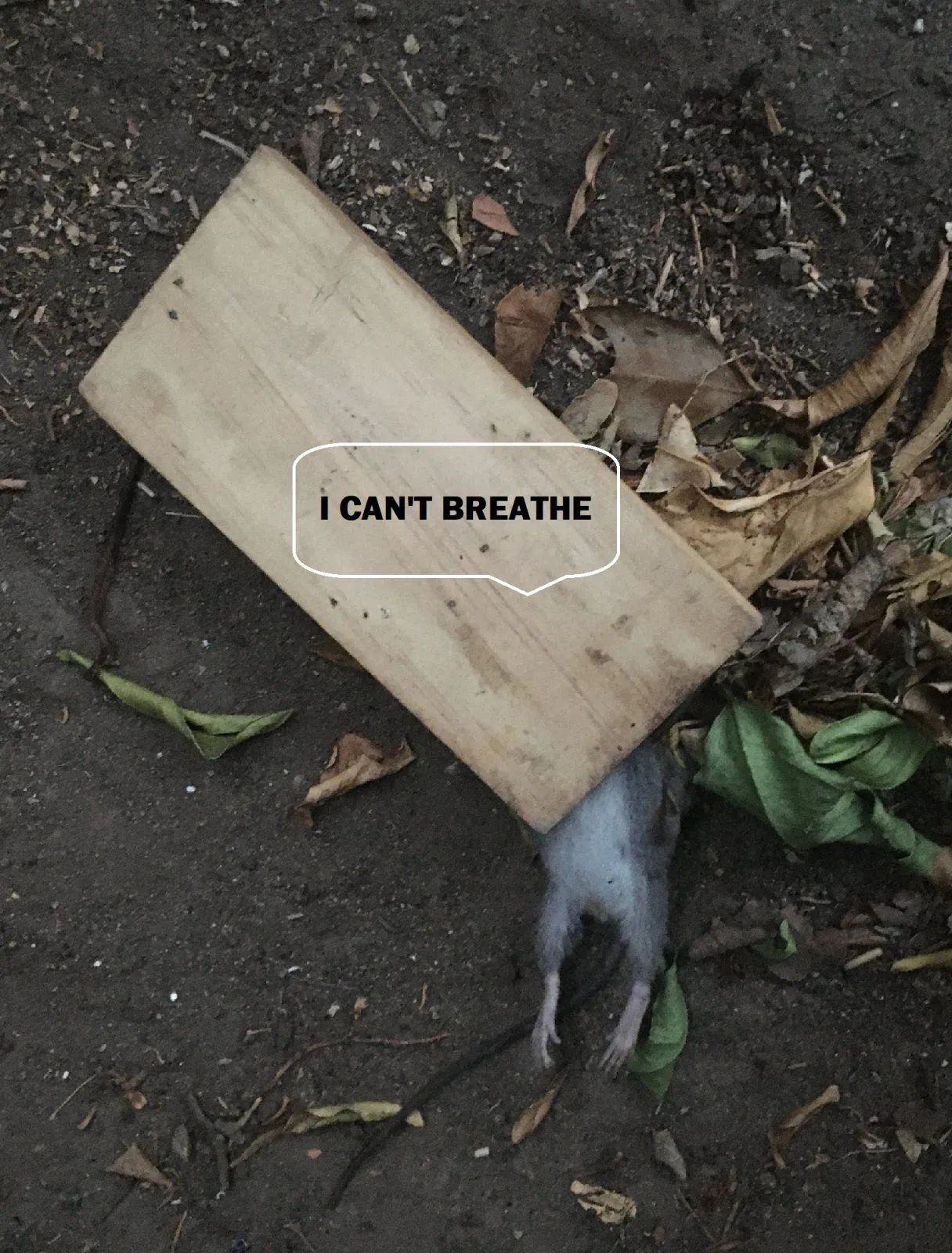 I can't breathe.webp