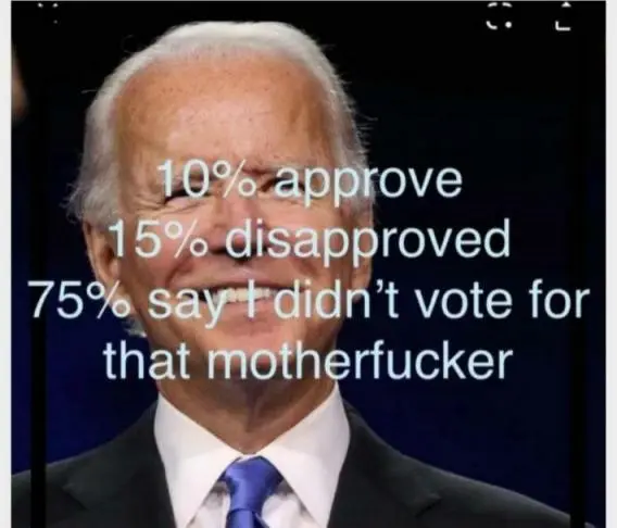 i didnt vote for that mother ******.webp