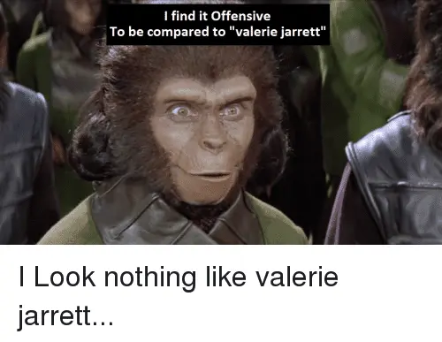 i-find-it-offensive-to-be-compared-to-valerie-jarrett-33579533.webp