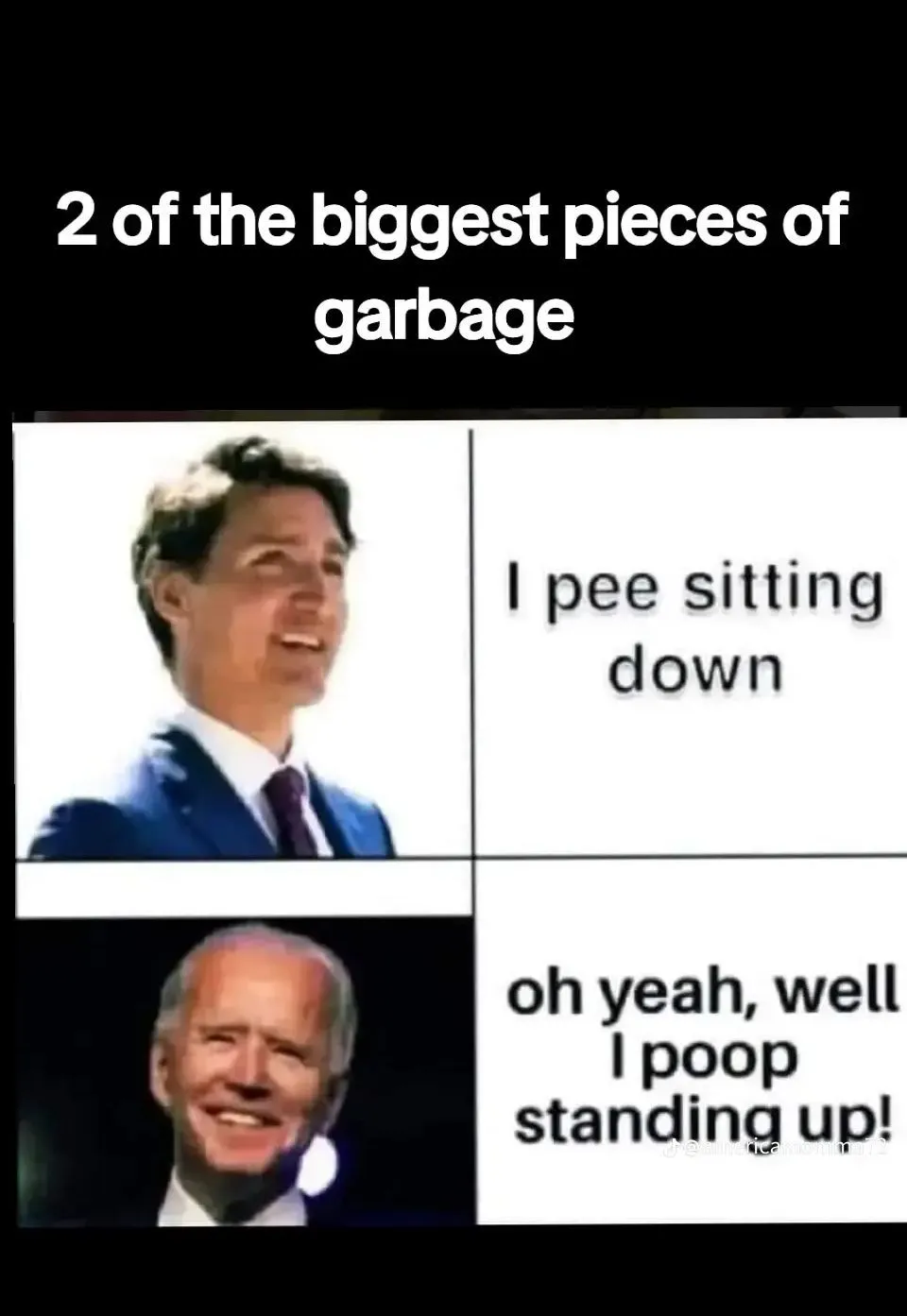 I poop standing up.webp