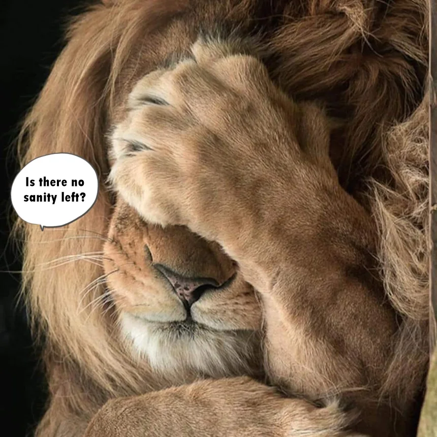 Icantbelieveitnosanity1.webp