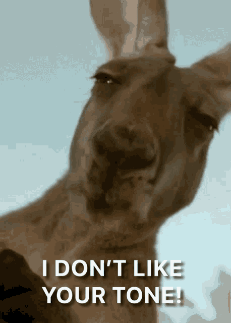 idontlikeyourtone-annoyed.gif