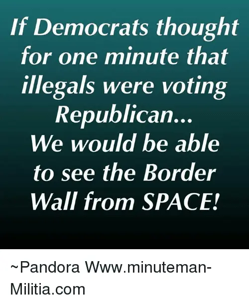 if-democrats-thought-for-one-minute-that-illegals-were-voting-23534215.webp