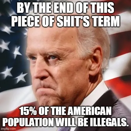 illegal population.webp