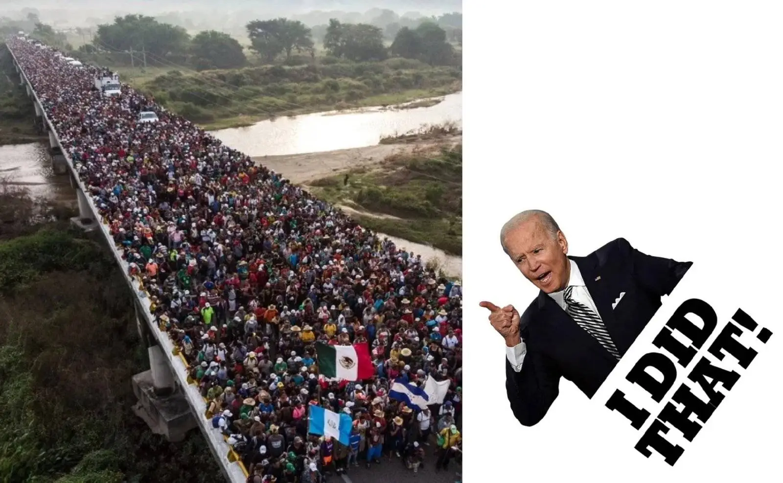 illegals Biden did that (1).jpg