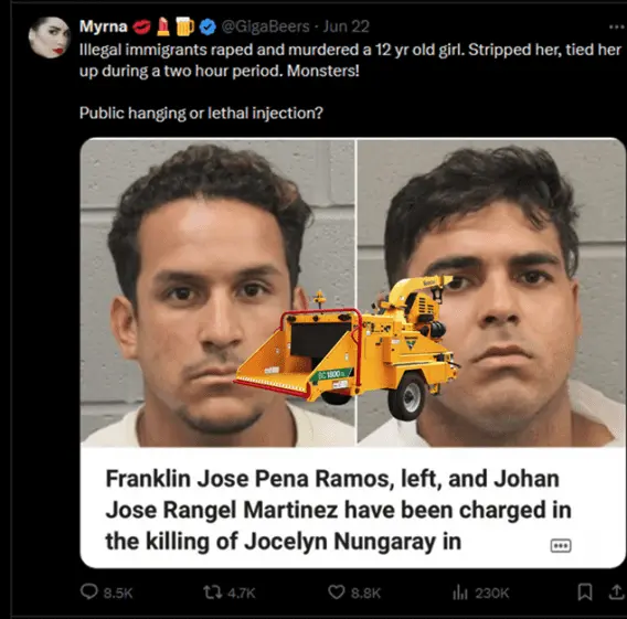 illegals raping and killing.webp