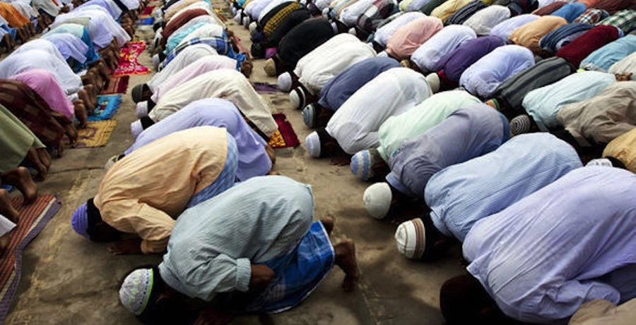 Image 1-5-26 at 11.25 AM.webp