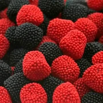 image.webp
