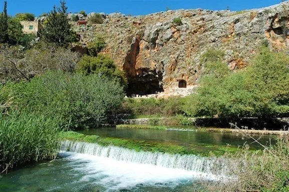 image.webp