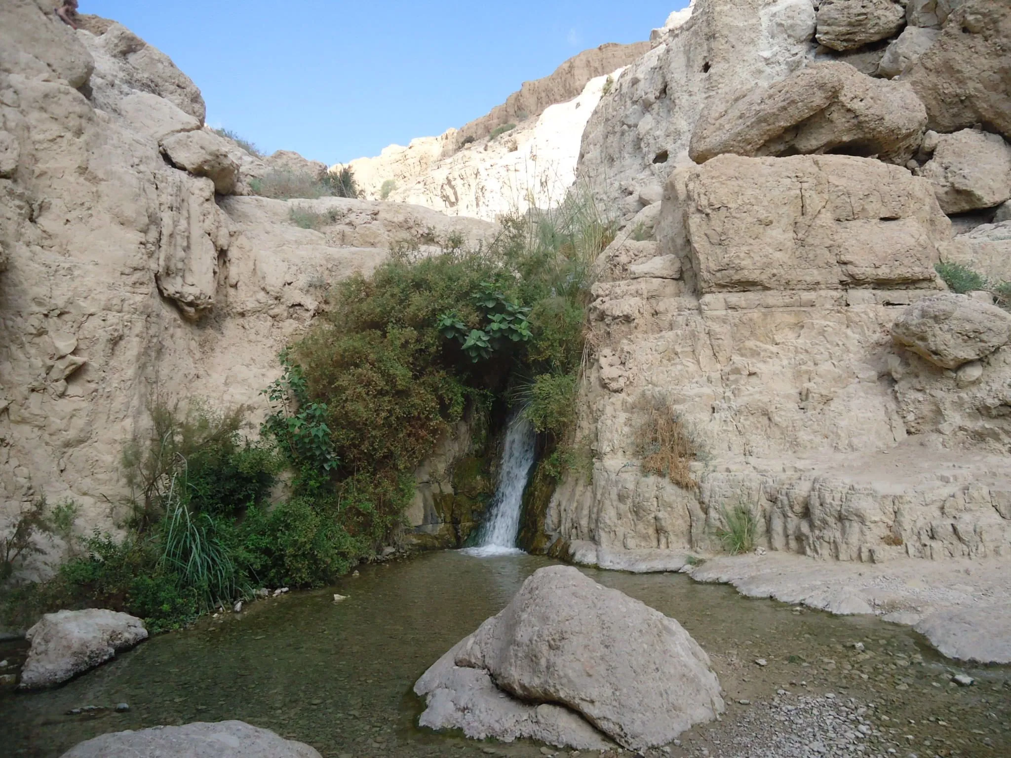 image.webp