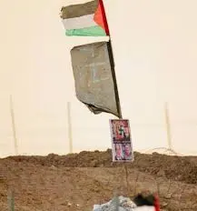 images - 2025-03-18T073710.838.webp