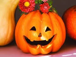 images (21).webp