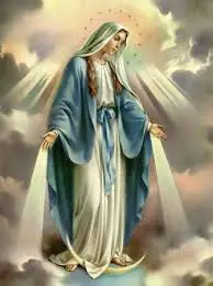 images (22).webp