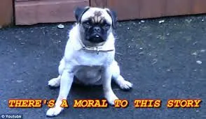 imagesMMXEF3G4.webp