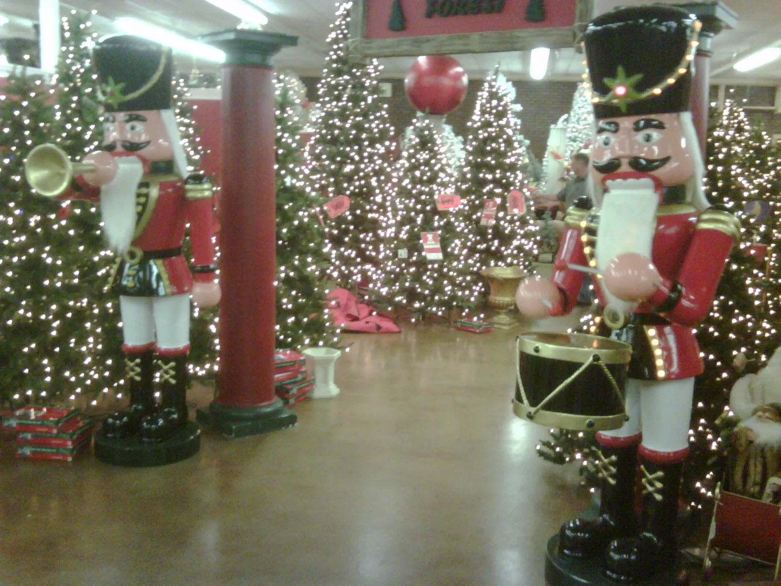 IMG00185.webp