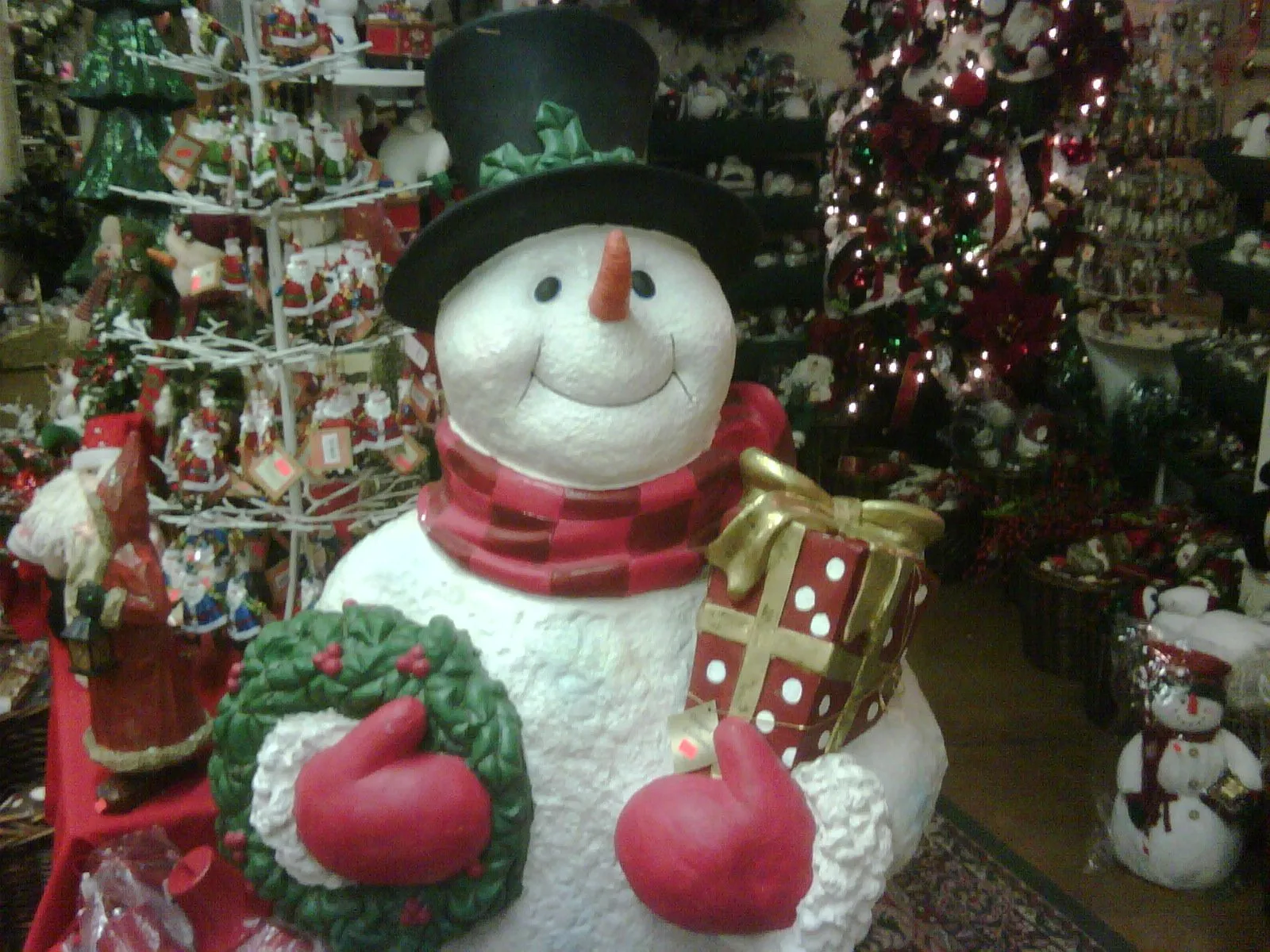 IMG00186.webp
